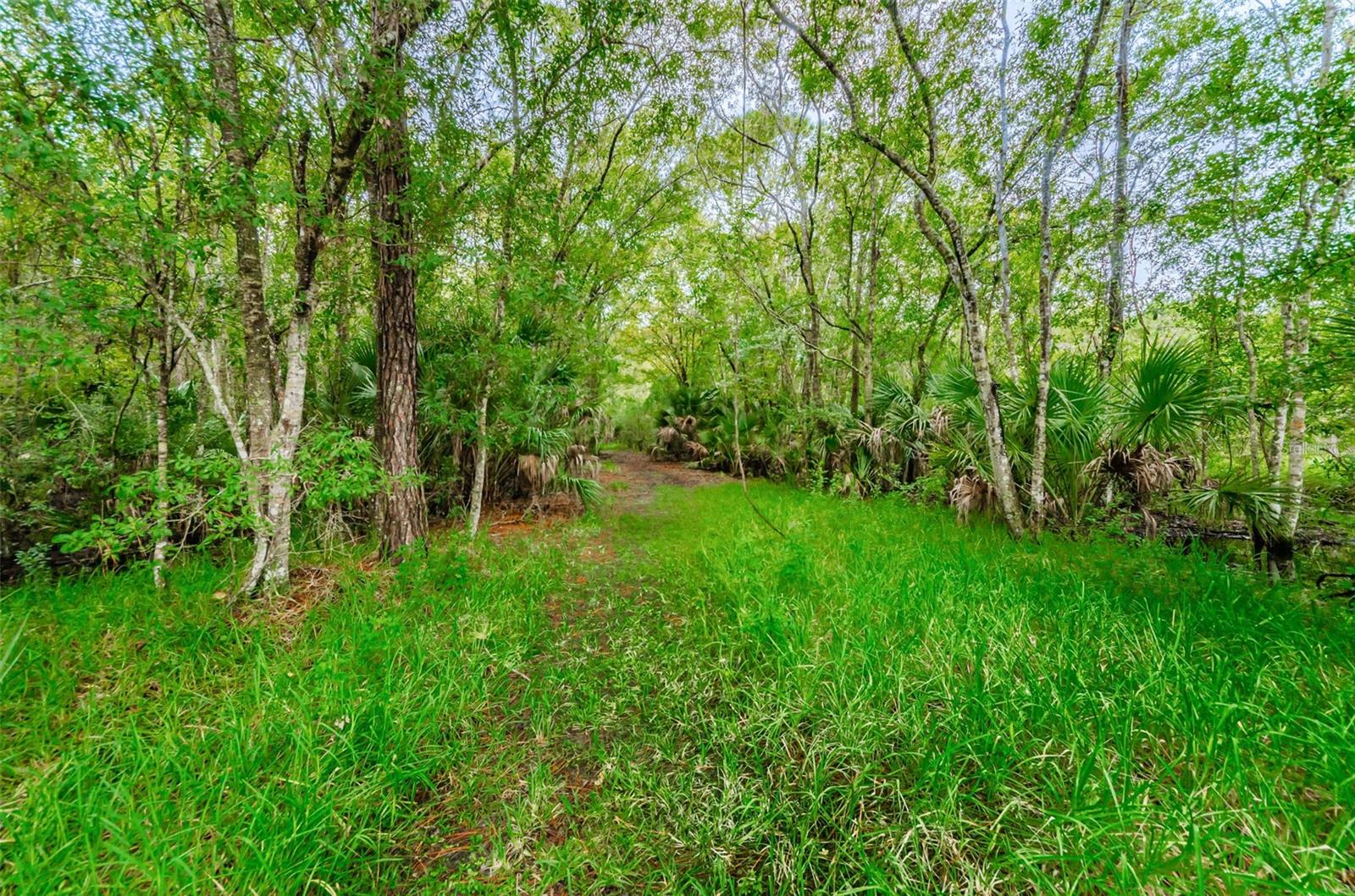 3164 BROOKER CREEK WAY, PALM HARBOR, FL, 34685