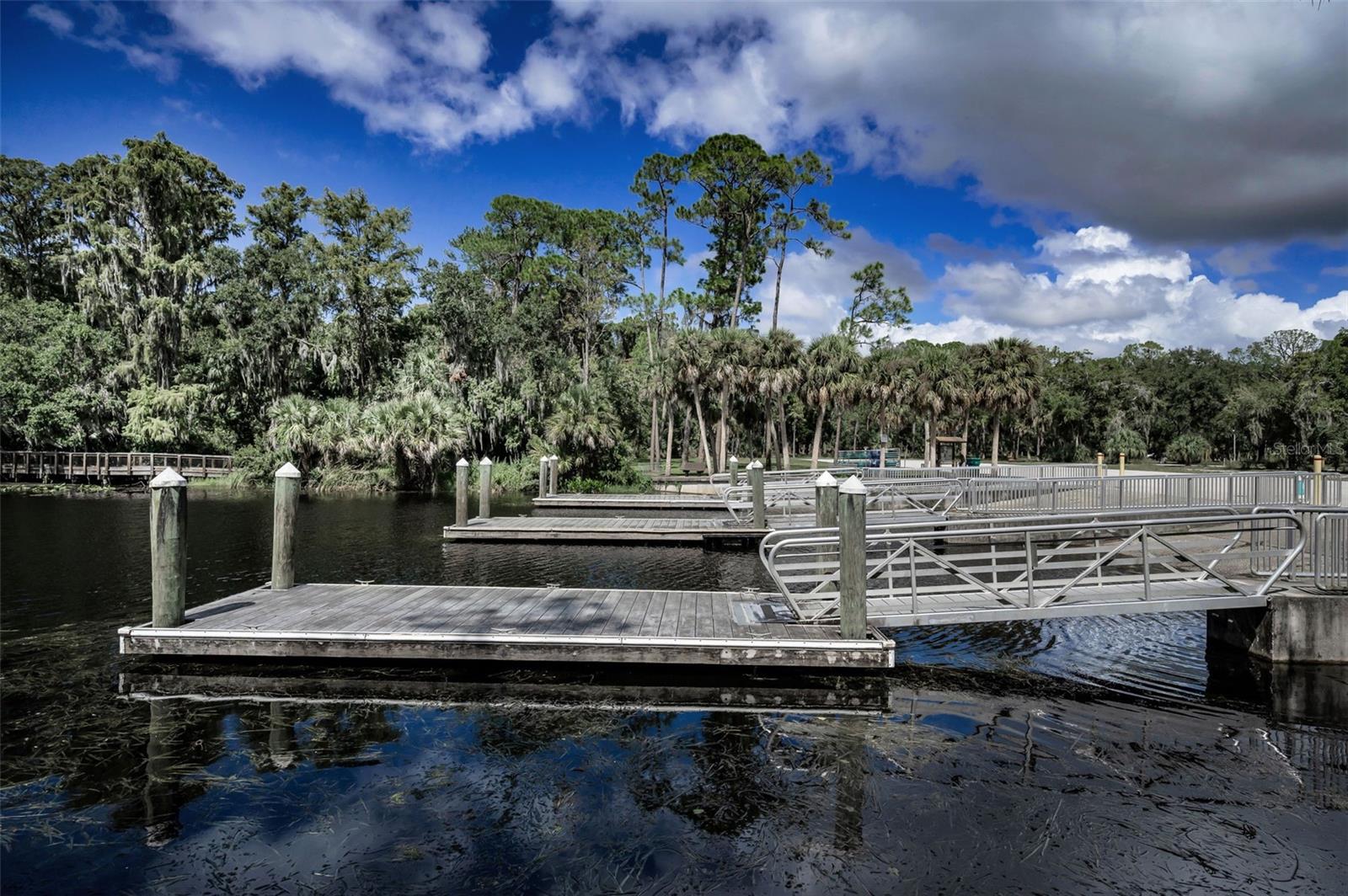 3164 BROOKER CREEK WAY, PALM HARBOR, FL, 34685