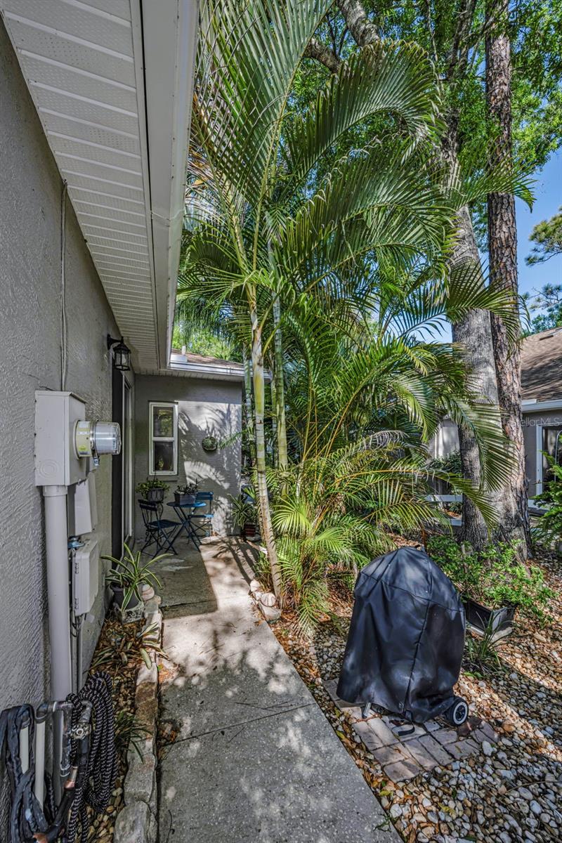 3164 BROOKER CREEK WAY, PALM HARBOR, FL, 34685