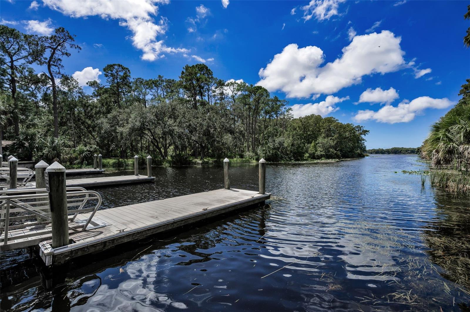 3164 BROOKER CREEK WAY, PALM HARBOR, FL, 34685