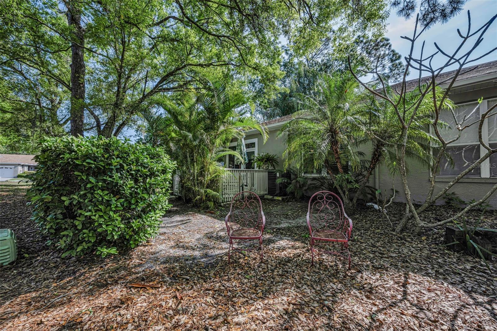3164 BROOKER CREEK WAY, PALM HARBOR, FL, 34685