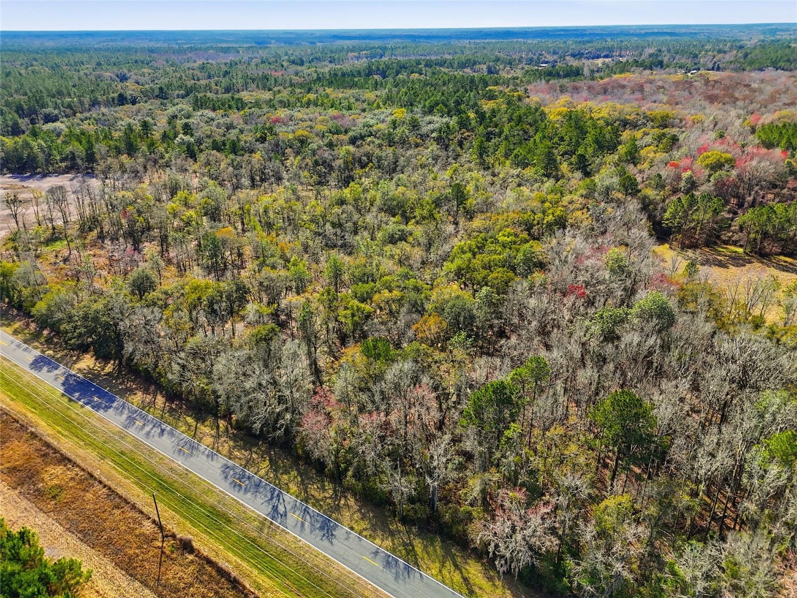 20994 SW COUNTY ROAD 18 #Lot 3, BROOKER, FL, 32622