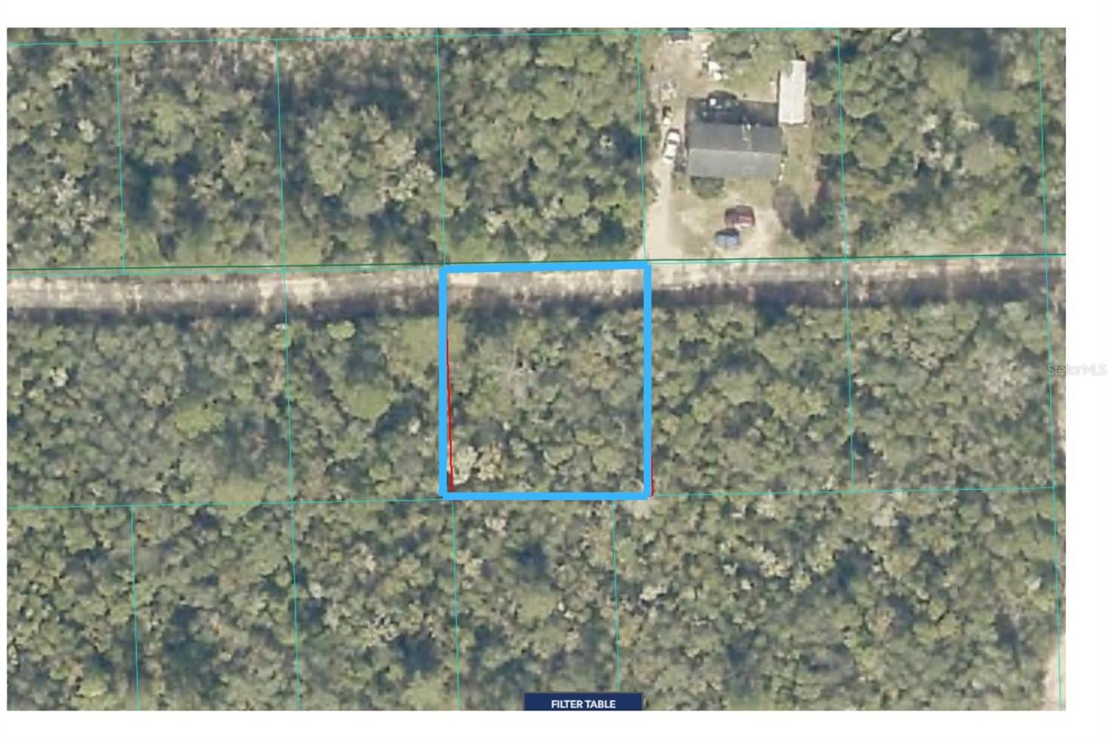 Lot 19 NE 233RD LANE, FORT MC COY, FL, 32134