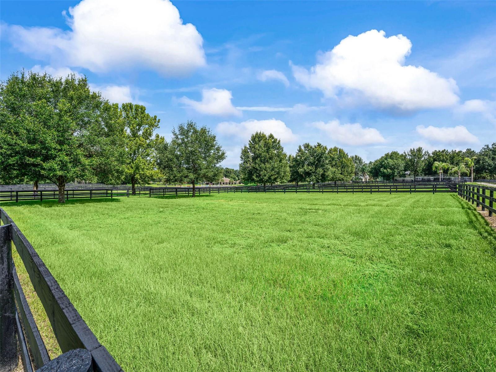 7268 NW 21ST ST, OCALA, FL, 34482