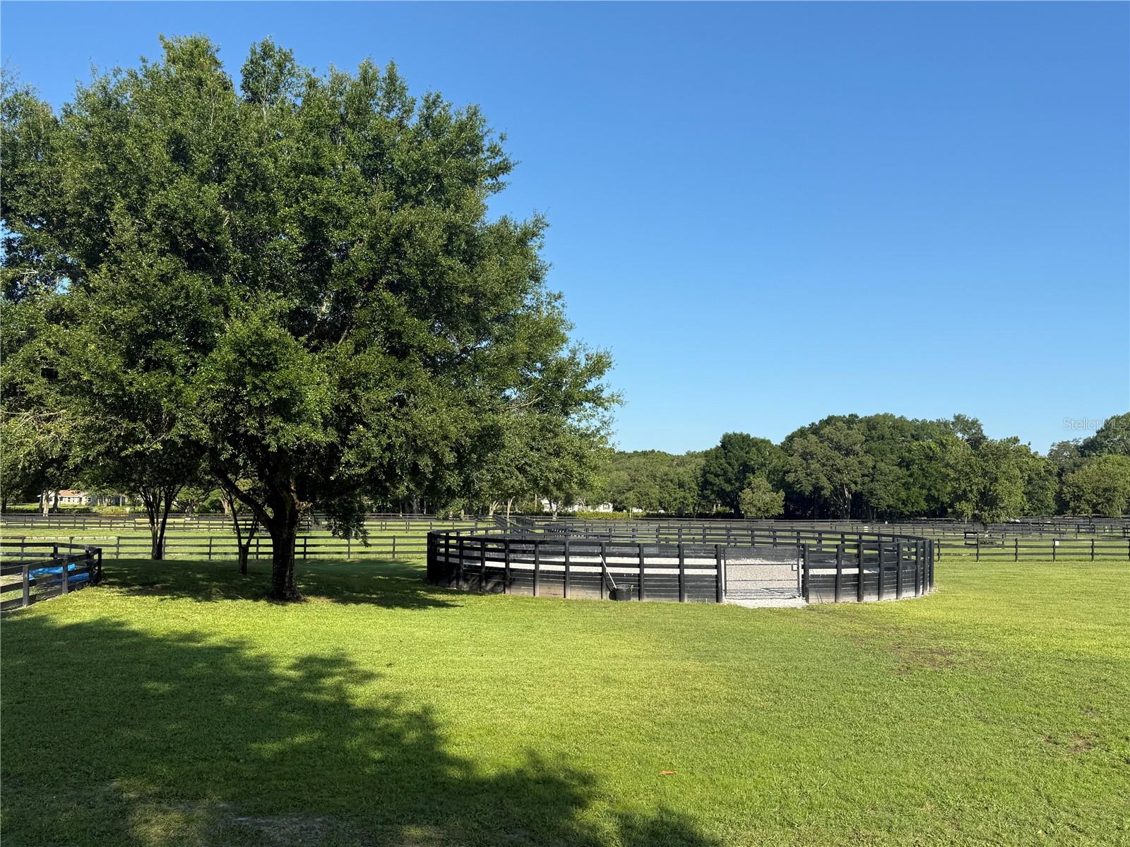 7268 NW 21ST ST, OCALA, FL, 34482