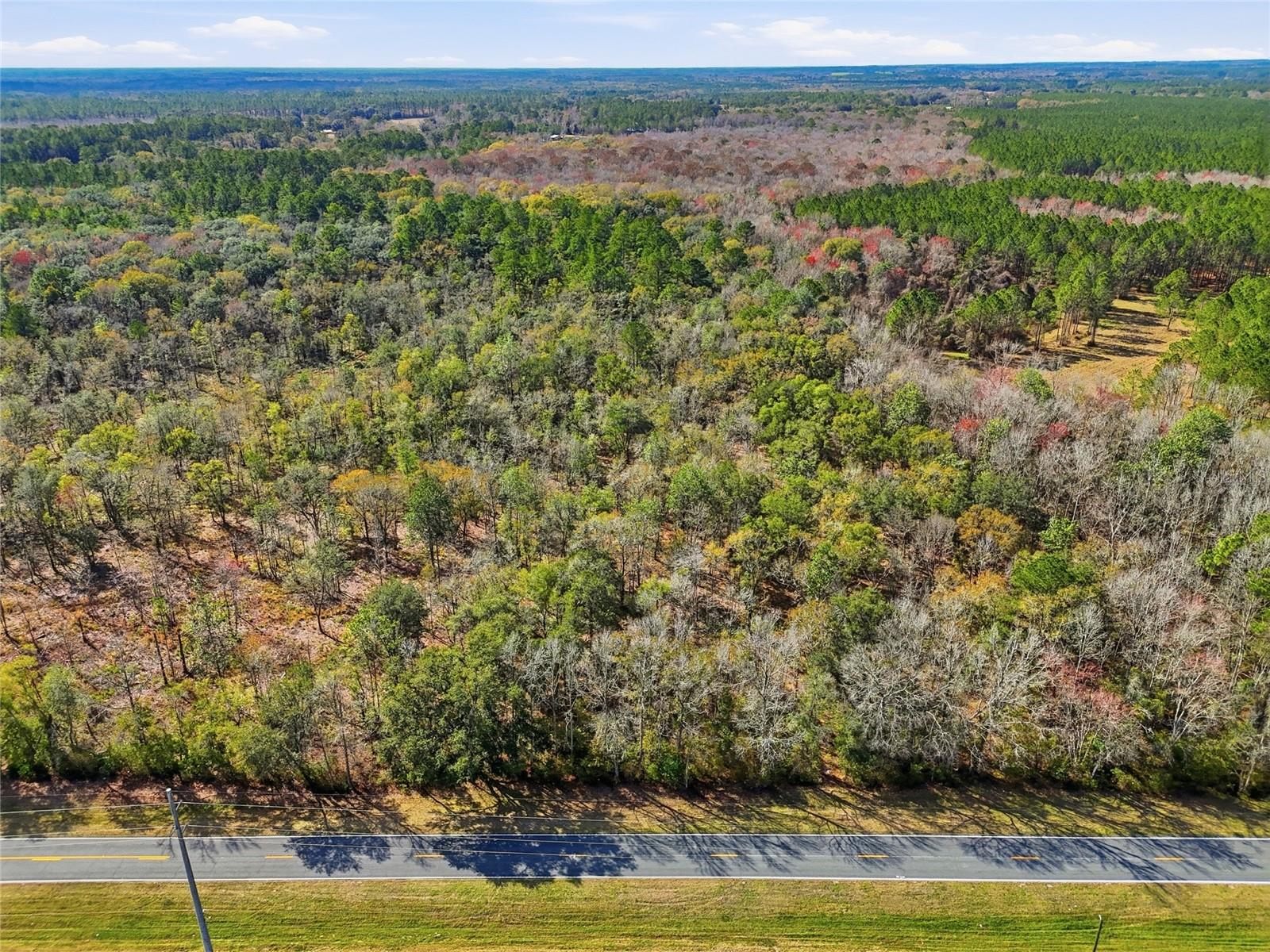 20994 SW COUNTY ROAD 18 #Lot 5, BROOKER, FL, 32622