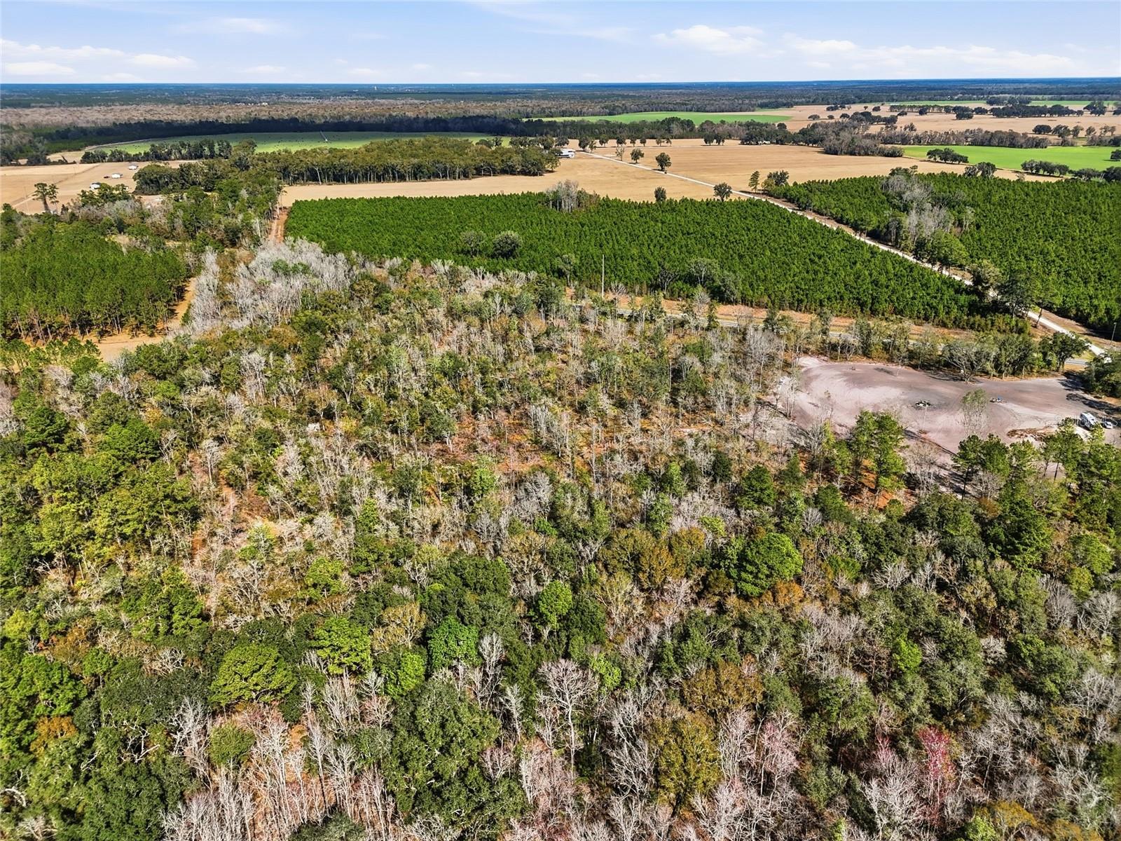 20994 SW COUNTY ROAD 18 #Lot 6, BROOKER, FL, 32622