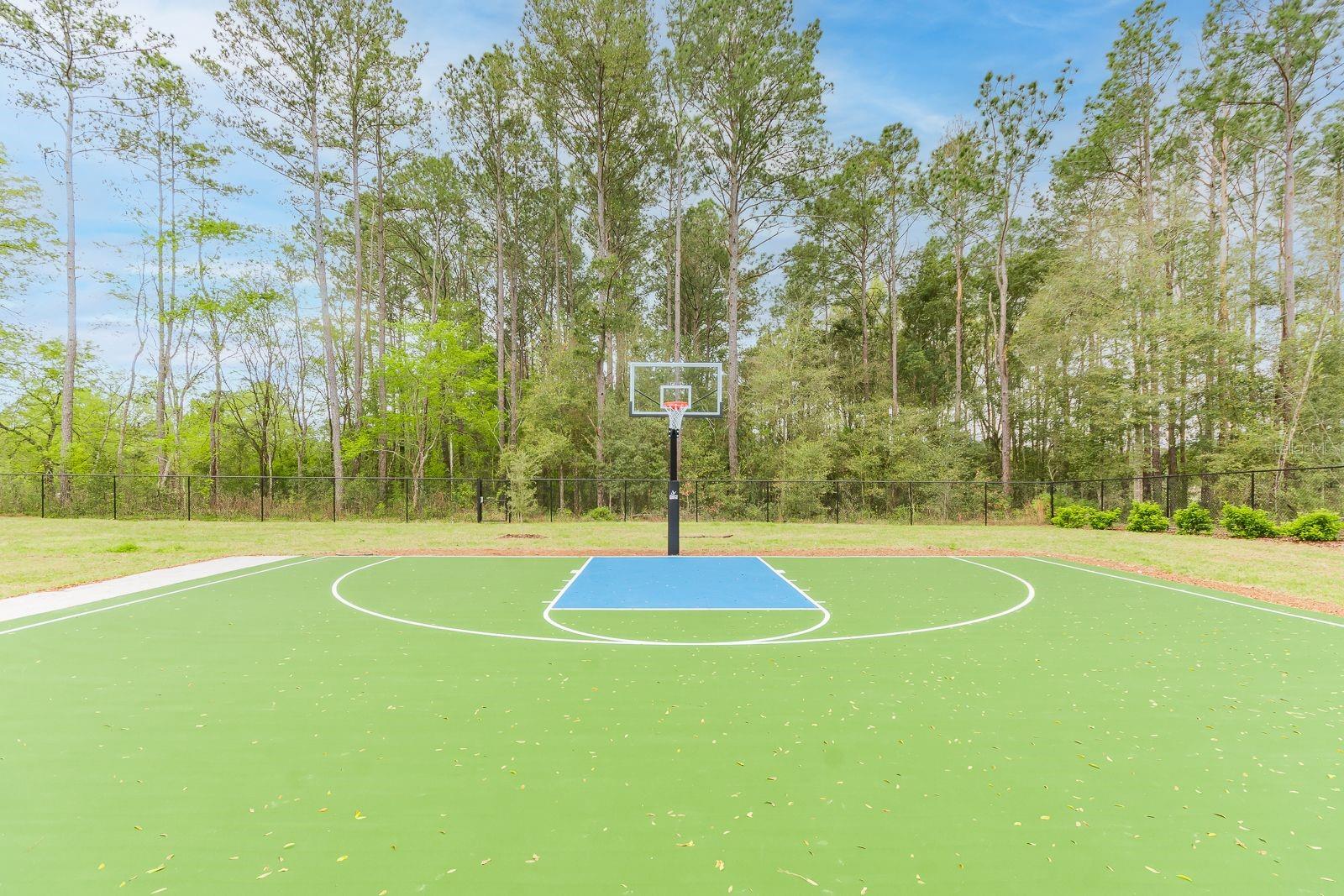 462 SW 144TH DR, NEWBERRY, FL, 32669