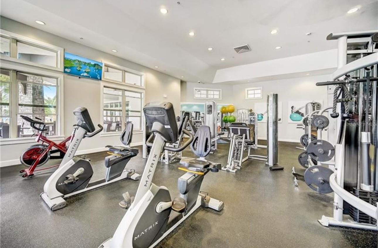 9133 MELLOW CORAL ST, WINTER GARDEN, FL, 34787