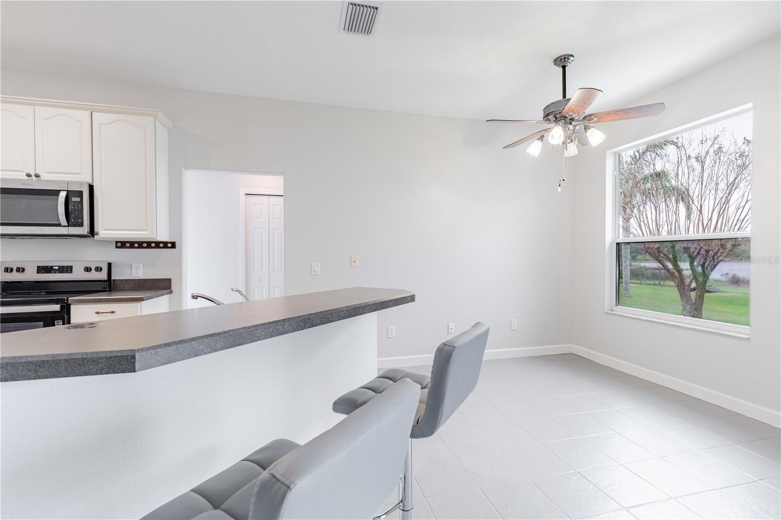 3804 BAYSHORE CIR, TAVARES, FL, 32778