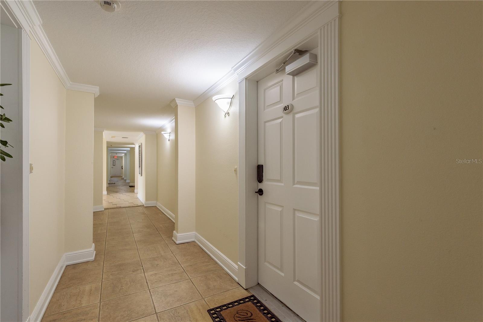 950 BROADWAY #103, DUNEDIN, FL, 34698