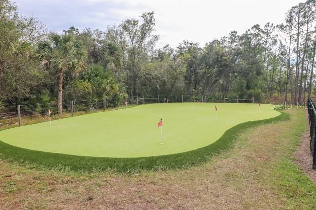 12116 SW COUNTY RD 769 # 311, LAKE SUZY, FL, 34269