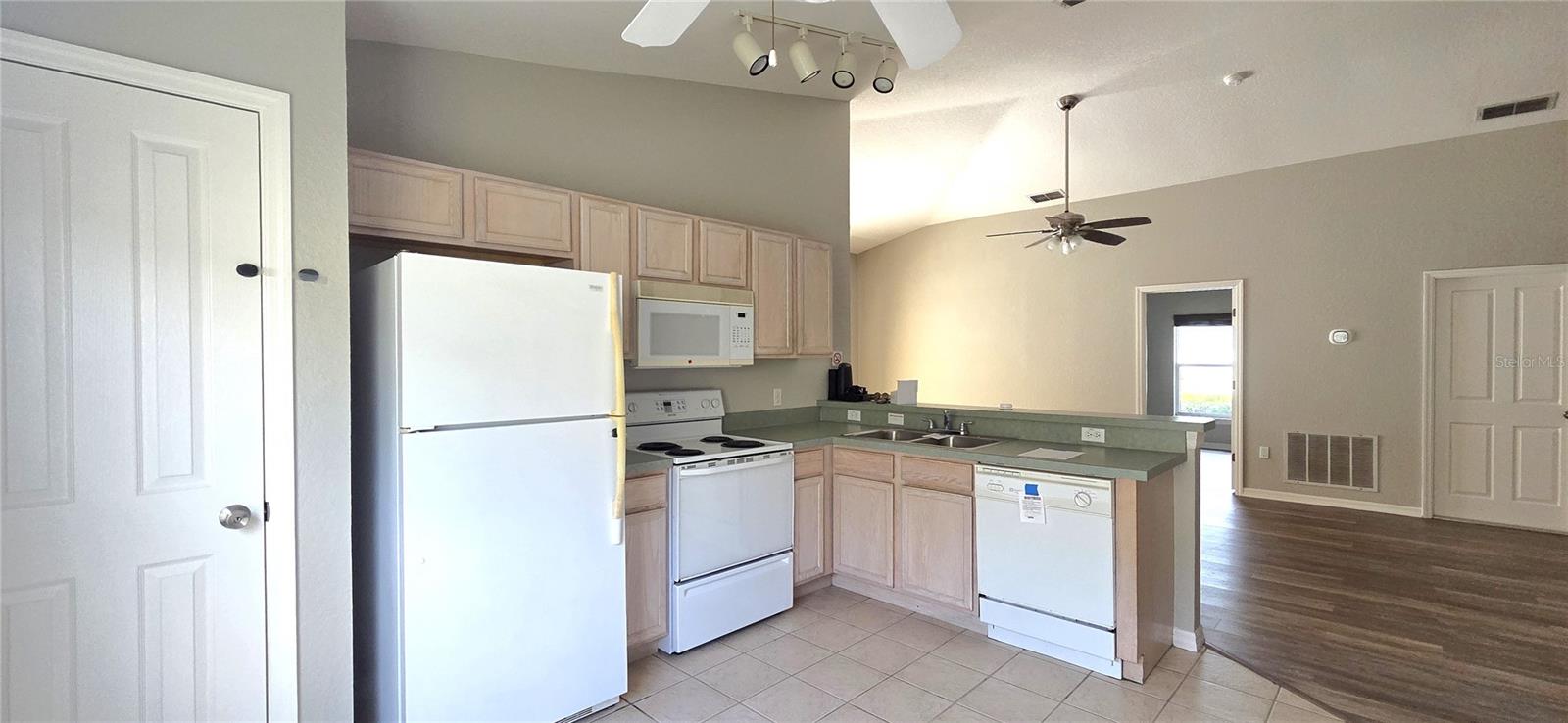 528 RESERVE DR, DAVENPORT, FL, 33896