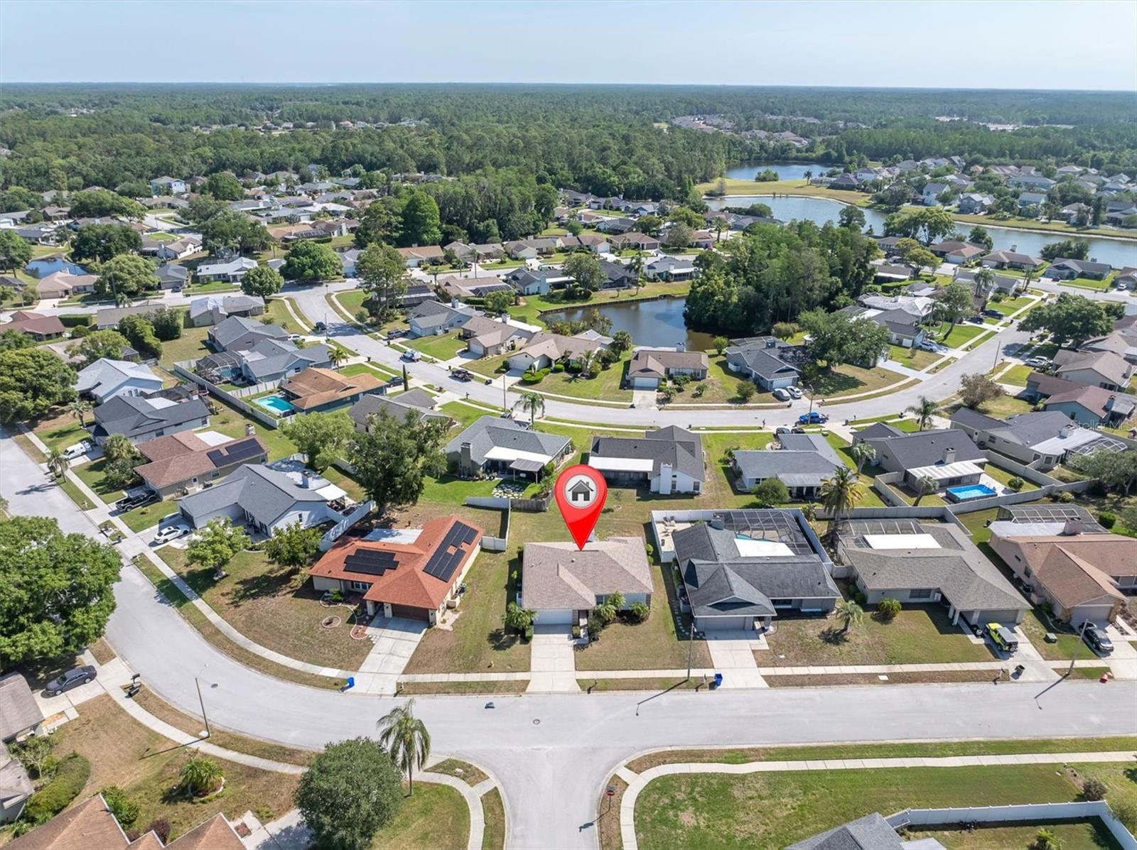 9807 PALMER DR, NEW PORT RICHEY, FL, 34655