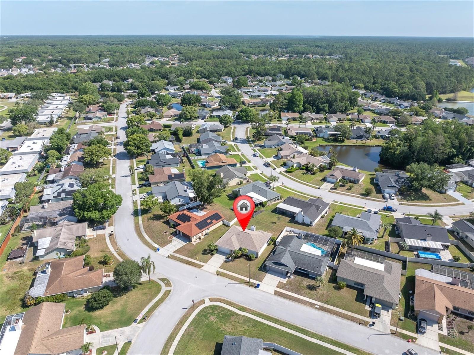 9807 PALMER DR, NEW PORT RICHEY, FL, 34655