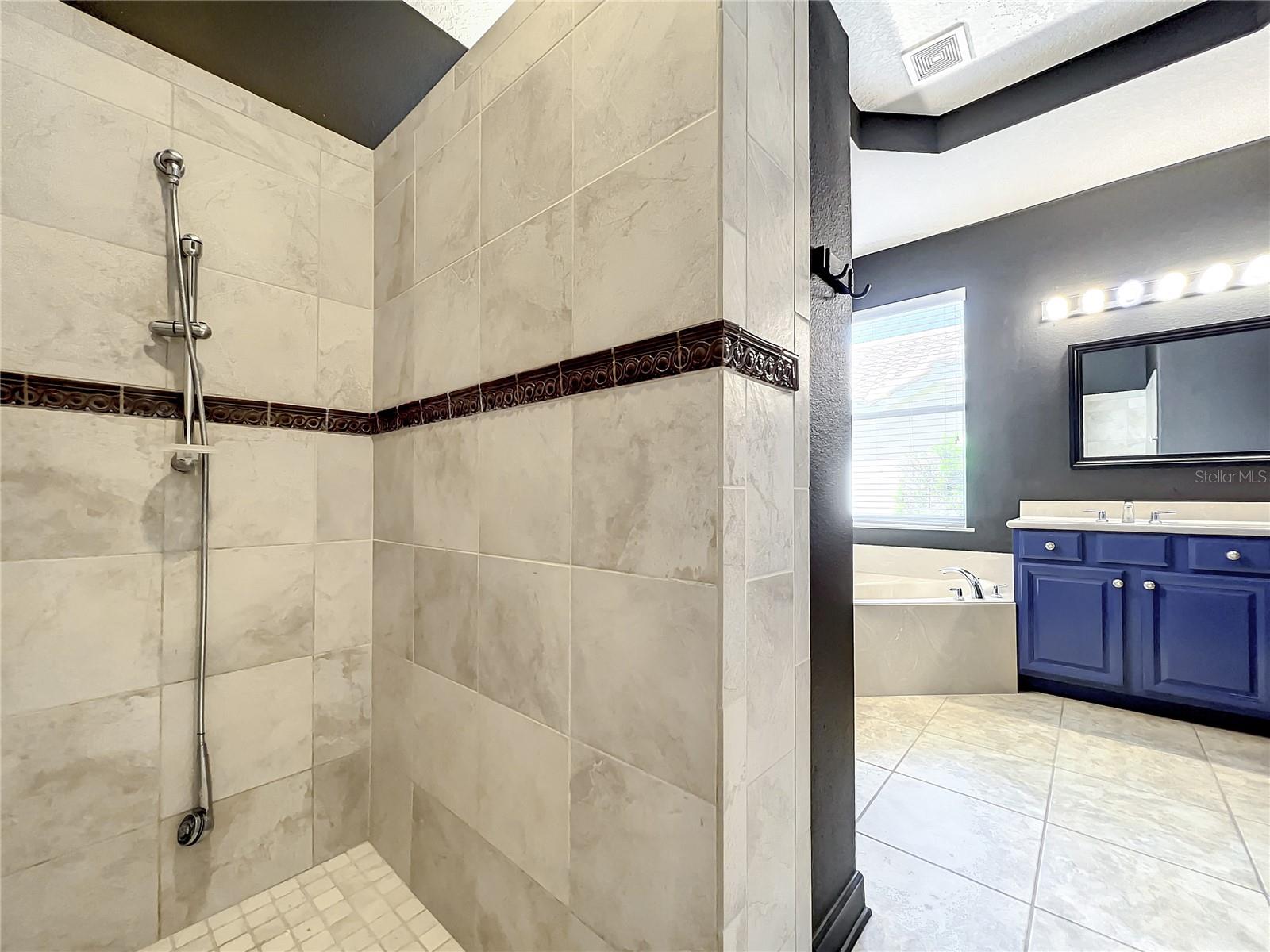 10041 OAK QUARRY DR, ORLANDO, FL, 32832