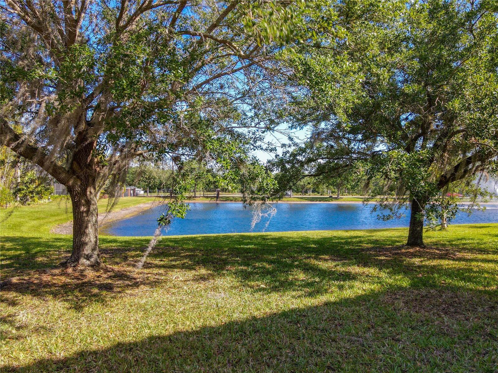 10041 OAK QUARRY DR, ORLANDO, FL, 32832