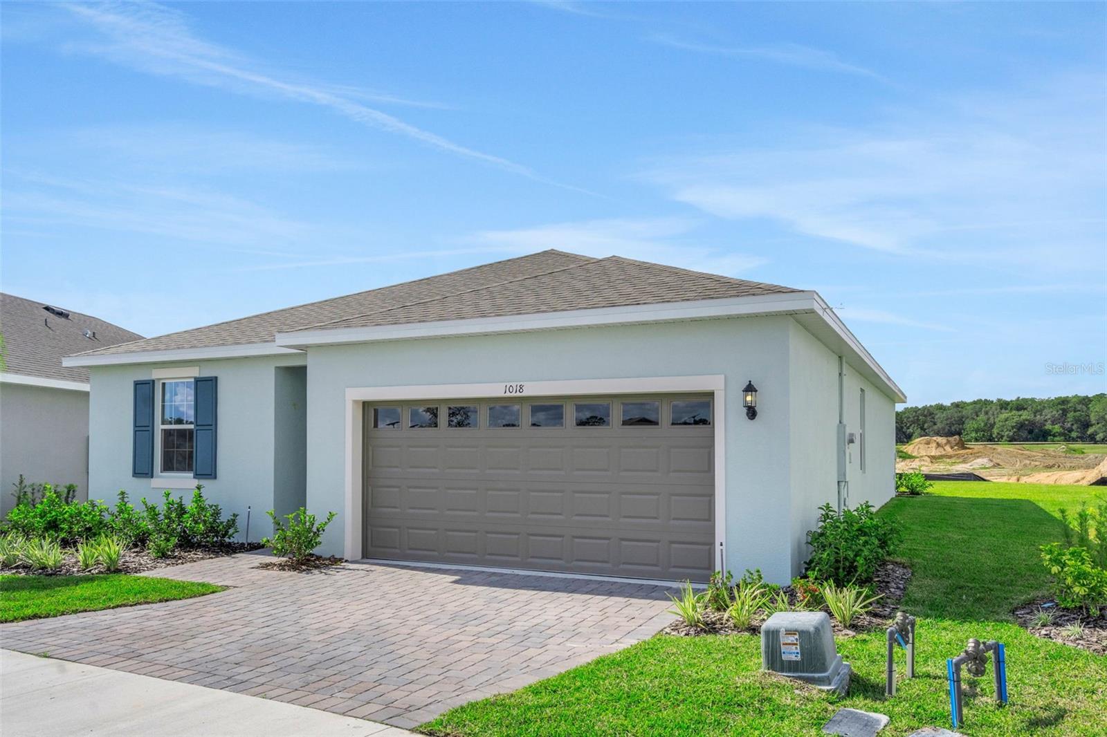 1018 SWAMP CHESTNUT LOOP, LADY LAKE, FL, 32159