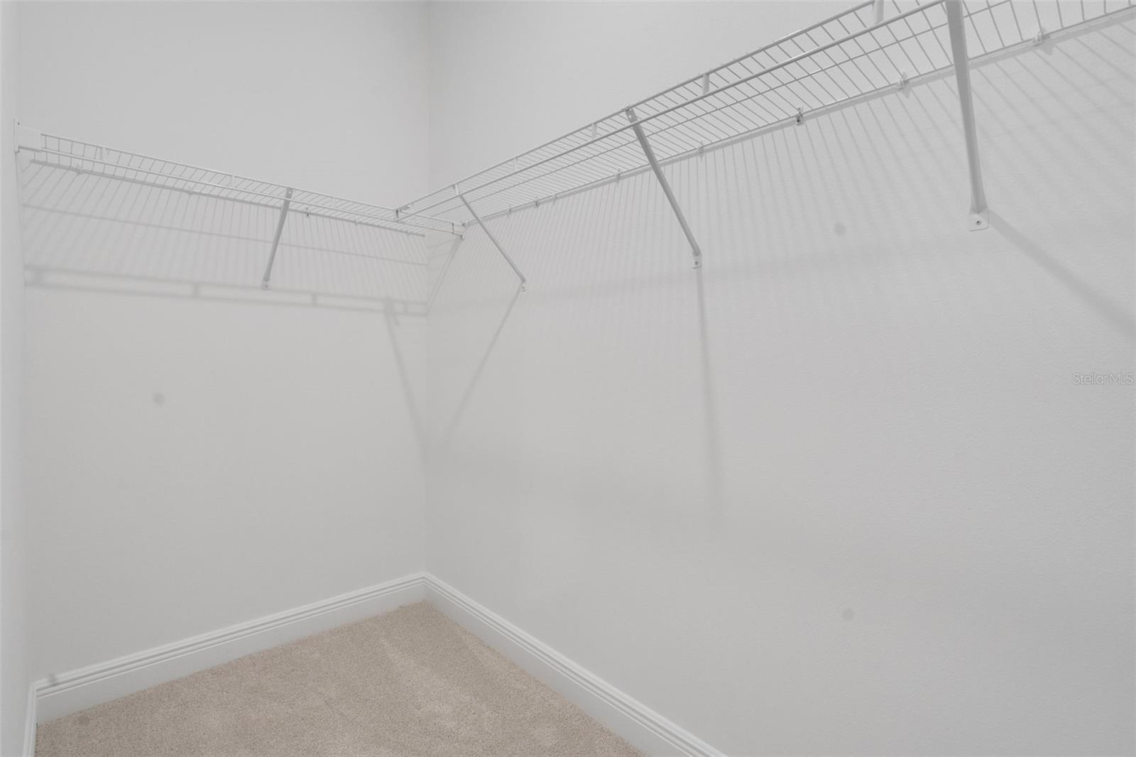 1018 SWAMP CHESTNUT LOOP, LADY LAKE, FL, 32159