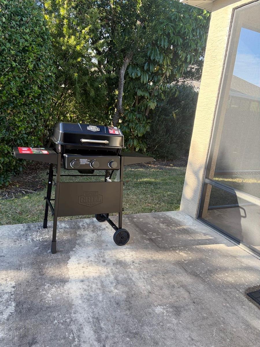 3394 RIDGEWOOD PATH, THE VILLAGES, FL, 32163