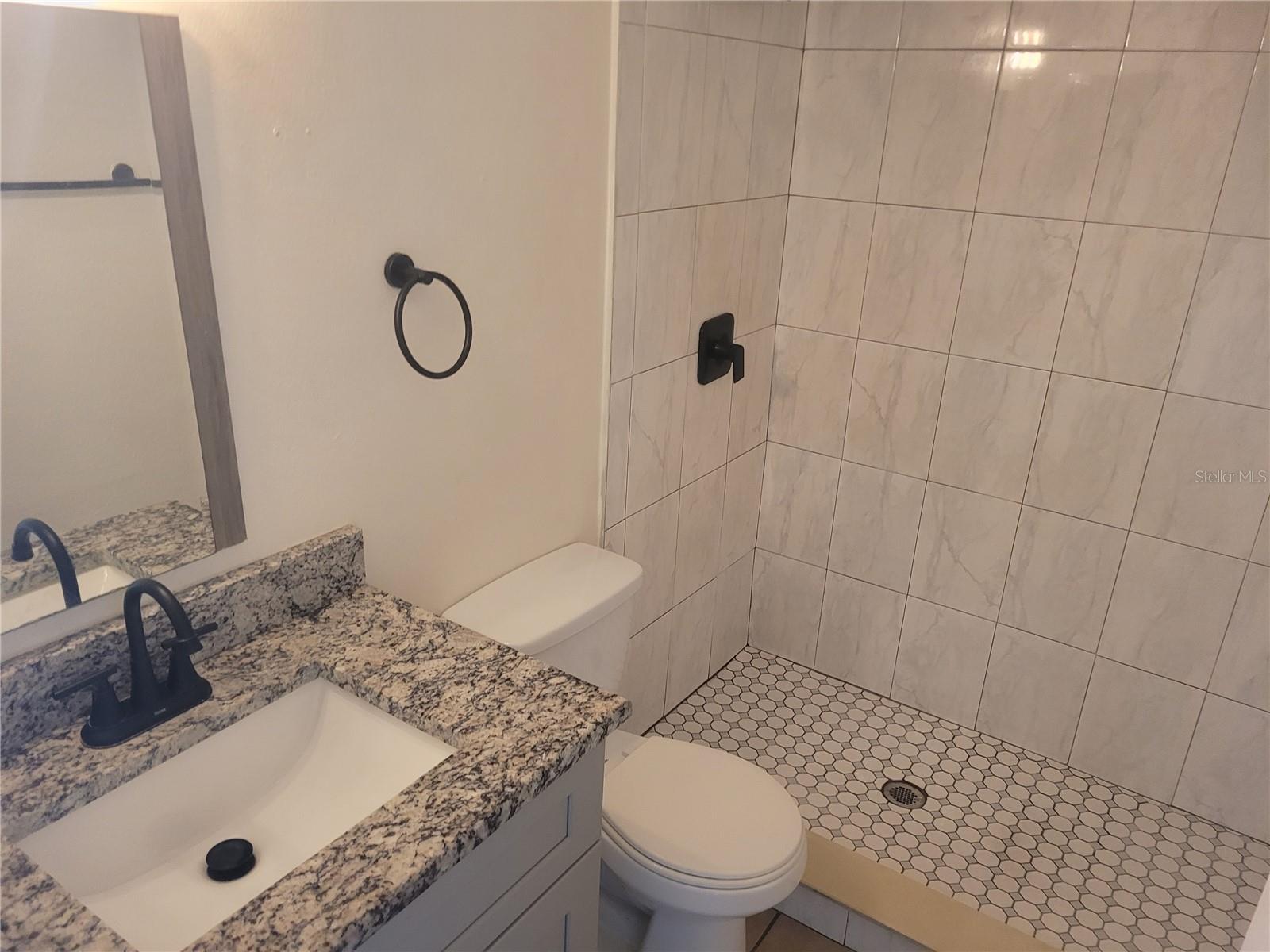 1236 DOVEHILL DR #1248, APOPKA, FL, 32703