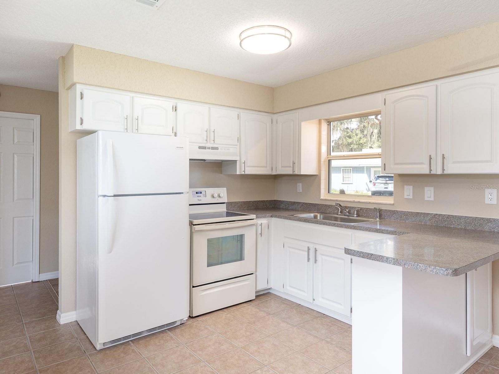 1314 CR 443, LAKE PANASOFFKEE, FL, 33538