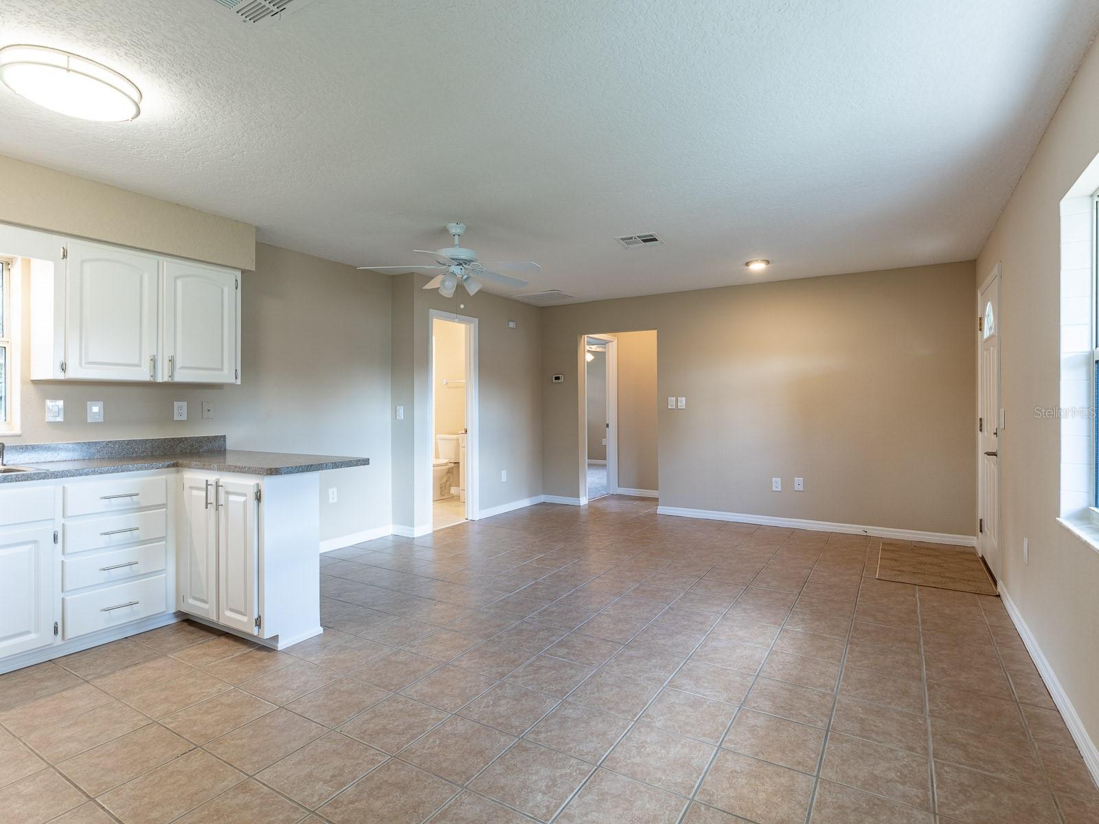 1314 CR 443, LAKE PANASOFFKEE, FL, 33538