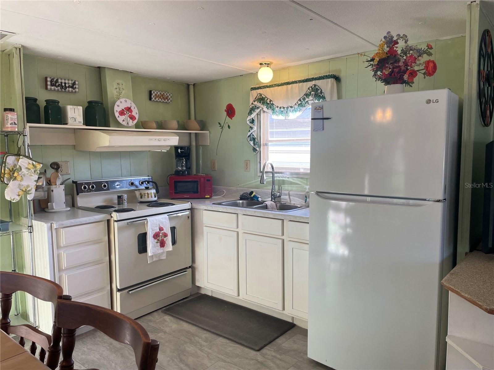1079 NW 7TH BLVD, LAKE PANASOFFKEE, FL, 33538