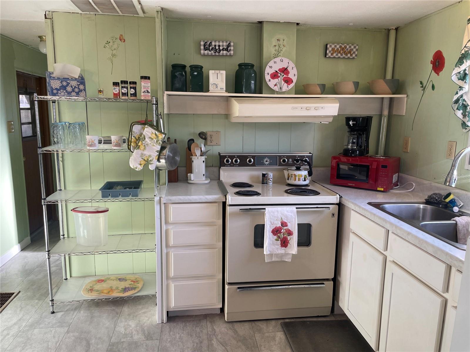 1079 NW 7TH BLVD, LAKE PANASOFFKEE, FL, 33538