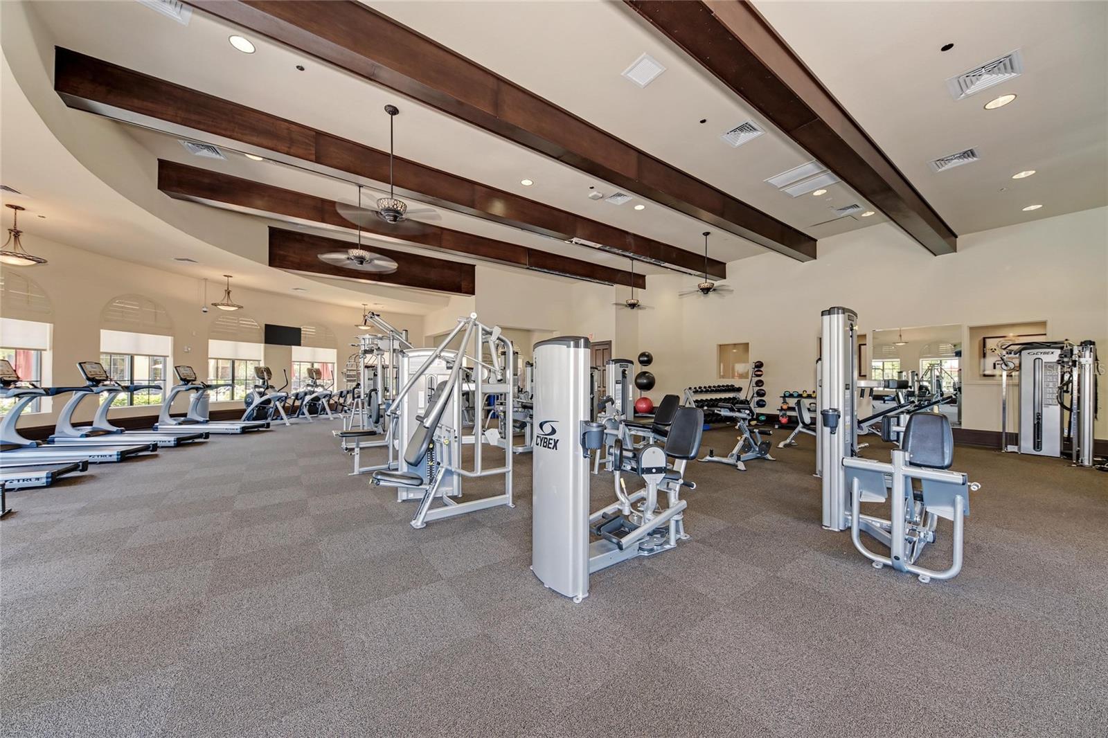 12434 AMICA LOOP, VENICE, FL, 34293
