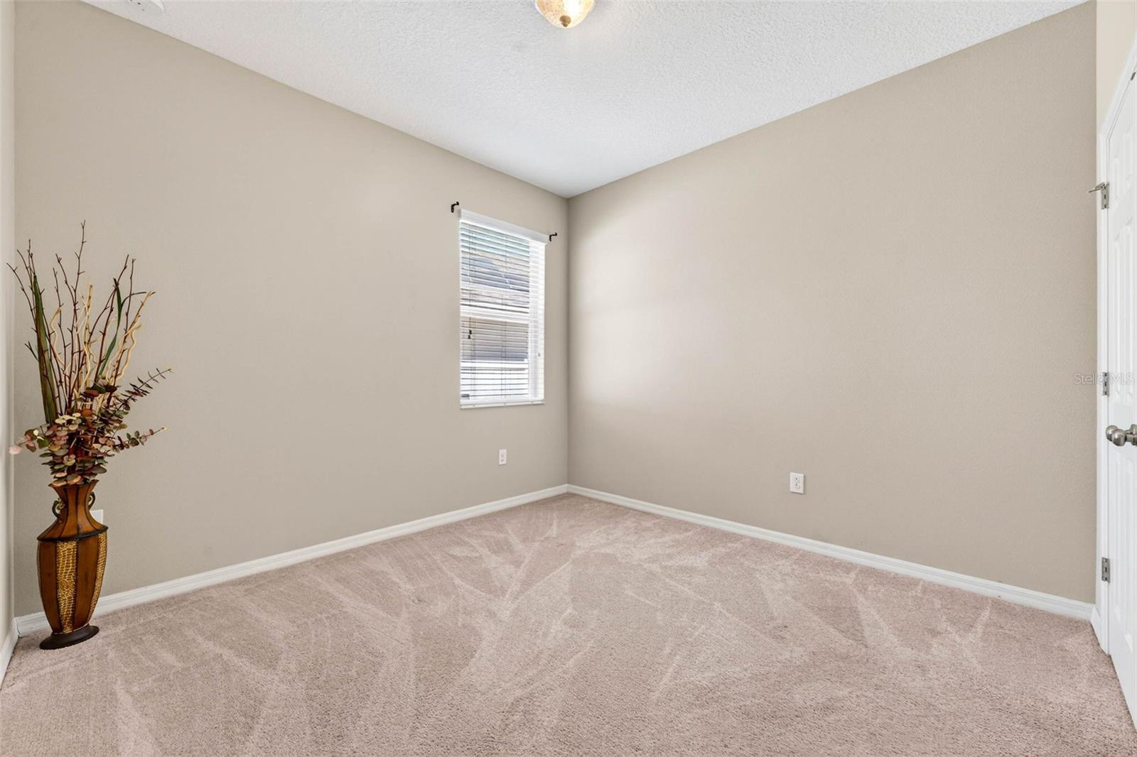 8238 WILLOW BEACH DR, RIVERVIEW, FL, 33578