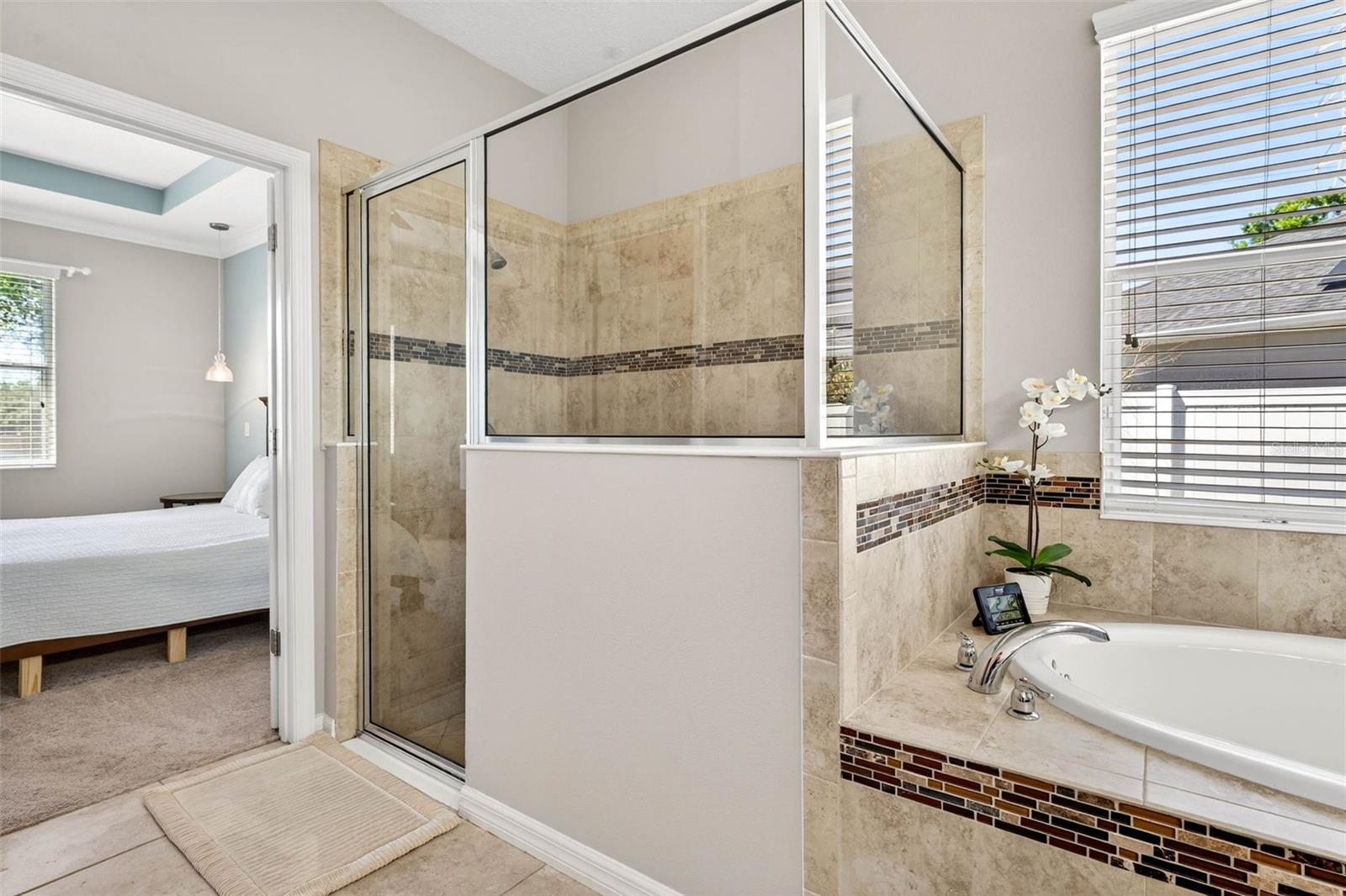 8238 WILLOW BEACH DR, RIVERVIEW, FL, 33578