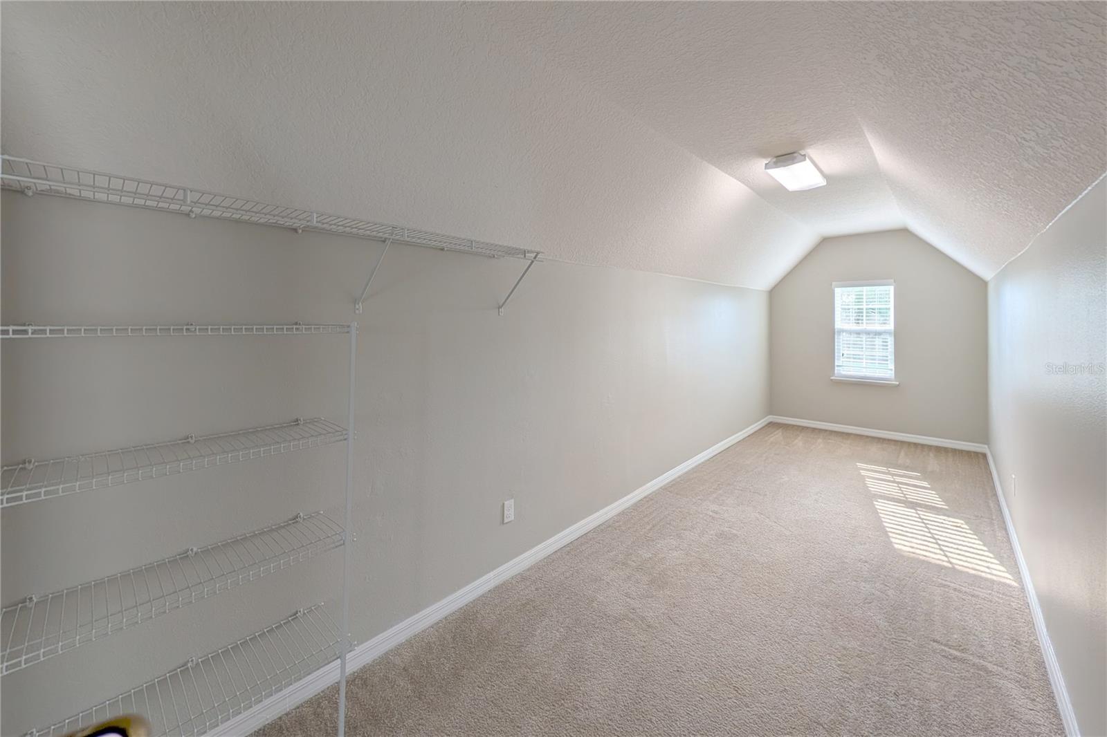 153 CABRILLO DR, GROVELAND, FL, 34736