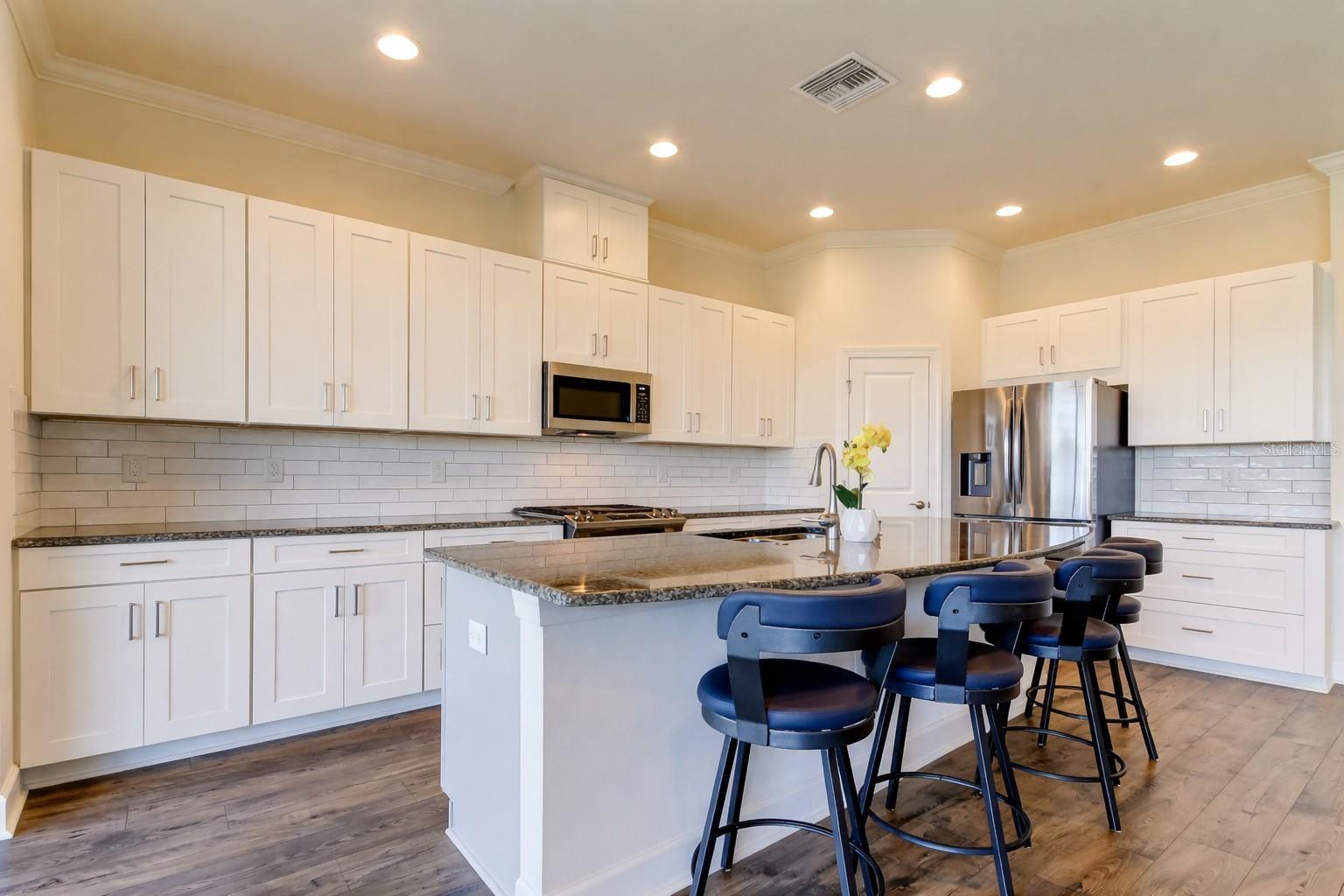 11257 EGERIA DR, ODESSA, FL, 33556