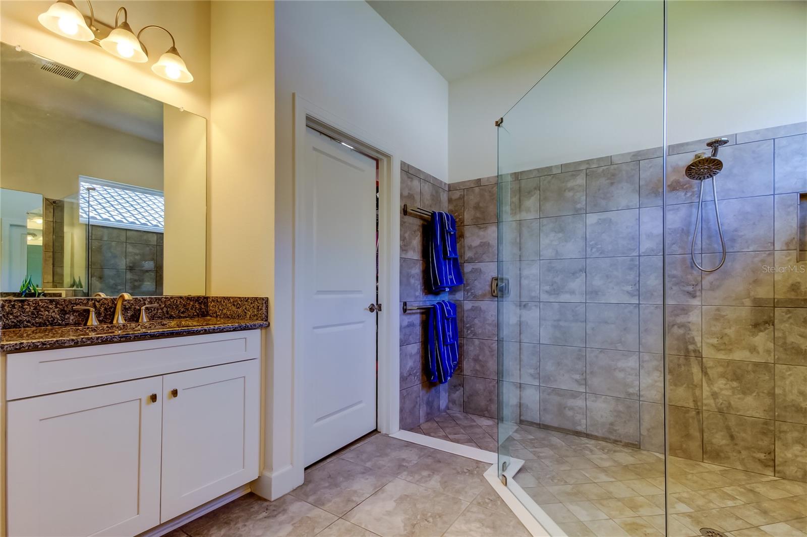 11257 EGERIA DR, ODESSA, FL, 33556