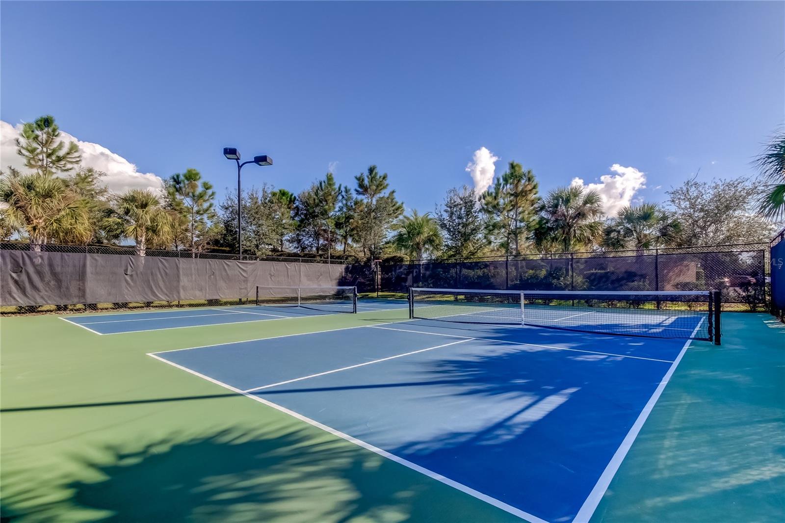 11257 EGERIA DR, ODESSA, FL, 33556