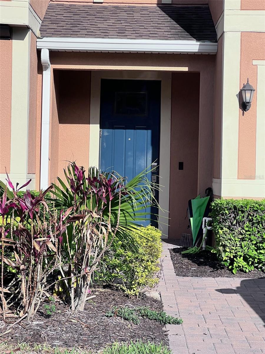 18604 NOBLE CASPIAN DR, LUTZ, FL, 33558
