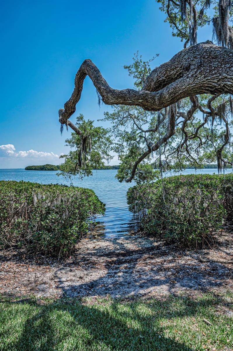 1111 N BAYSHORE BLVD #E3, CLEARWATER, FL, 33759