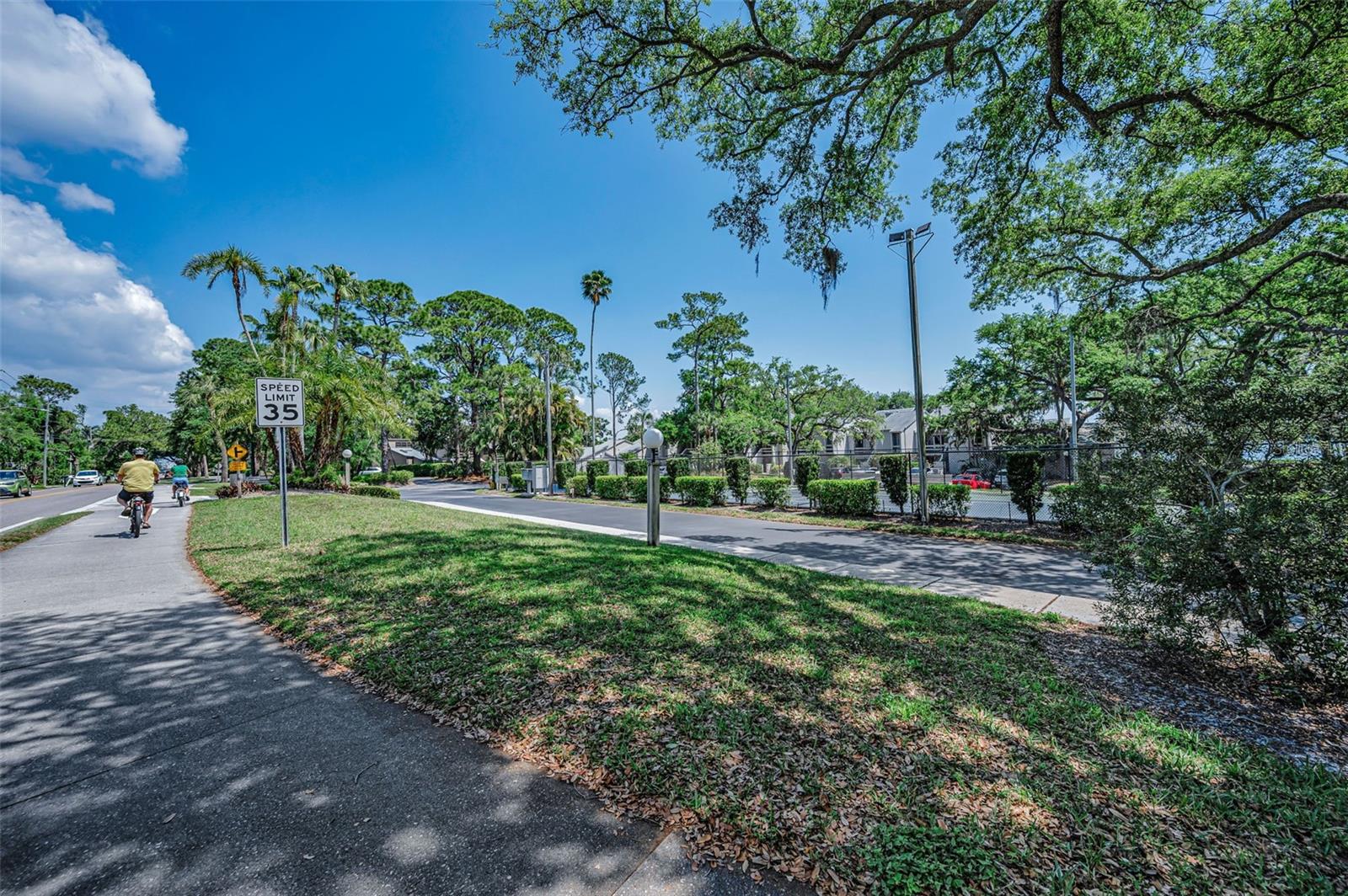 1111 N BAYSHORE BLVD #E3, CLEARWATER, FL, 33759