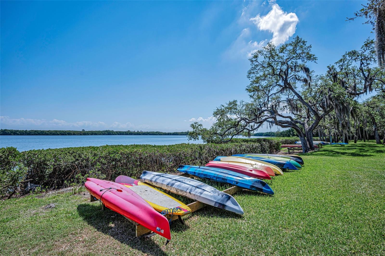 1111 N BAYSHORE BLVD #E3, CLEARWATER, FL, 33759