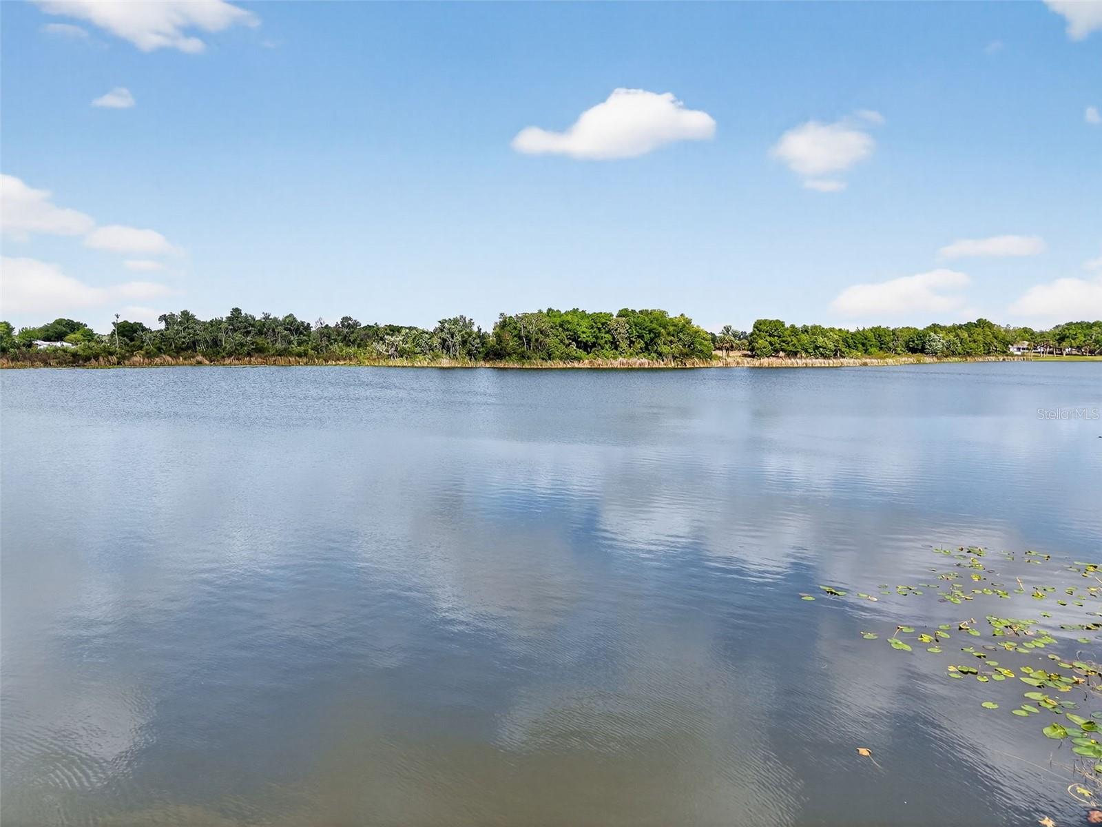 272 S CENTRAL/SR19S AVE, UMATILLA, FL, 32784