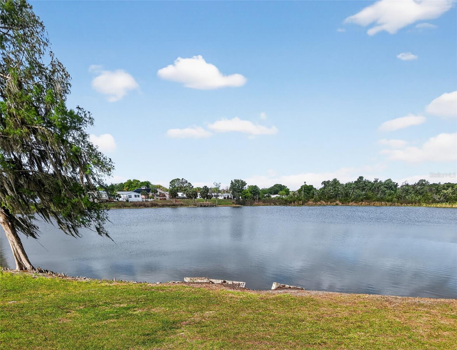 272 S CENTRAL/SR19S AVE, UMATILLA, FL, 32784