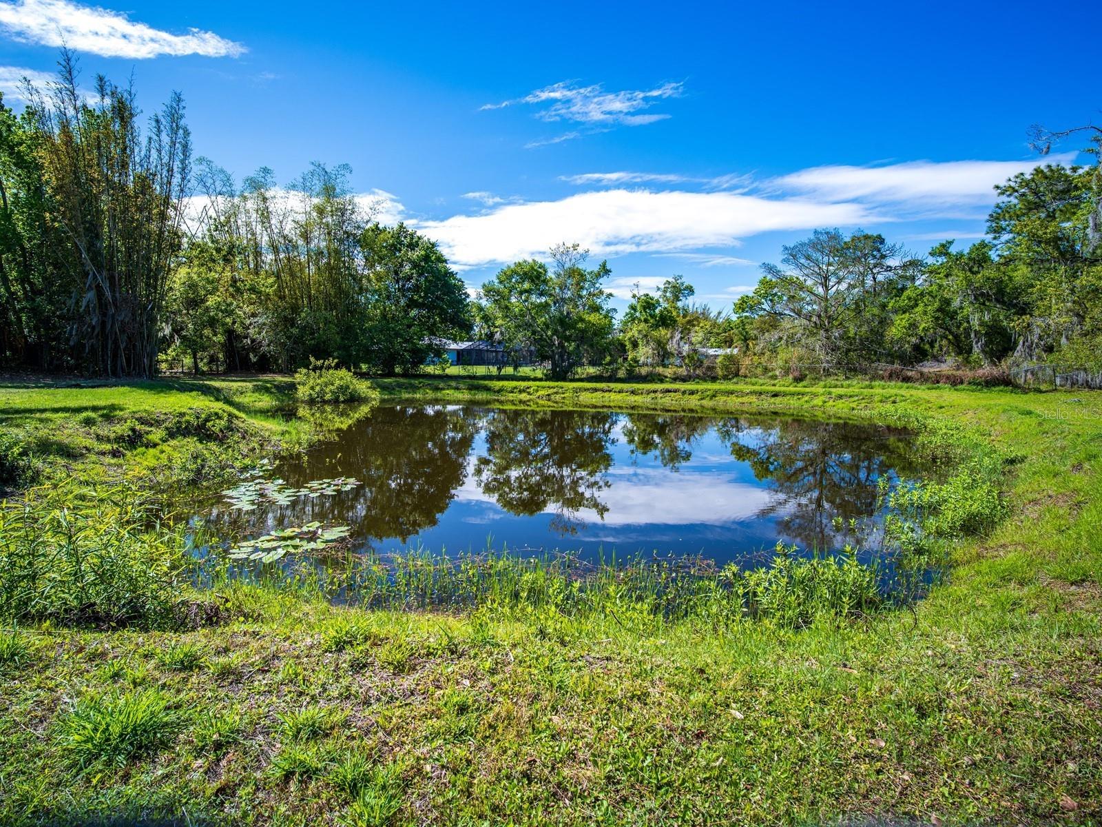 7311 PROCTOR RD, SARASOTA, FL, 34241