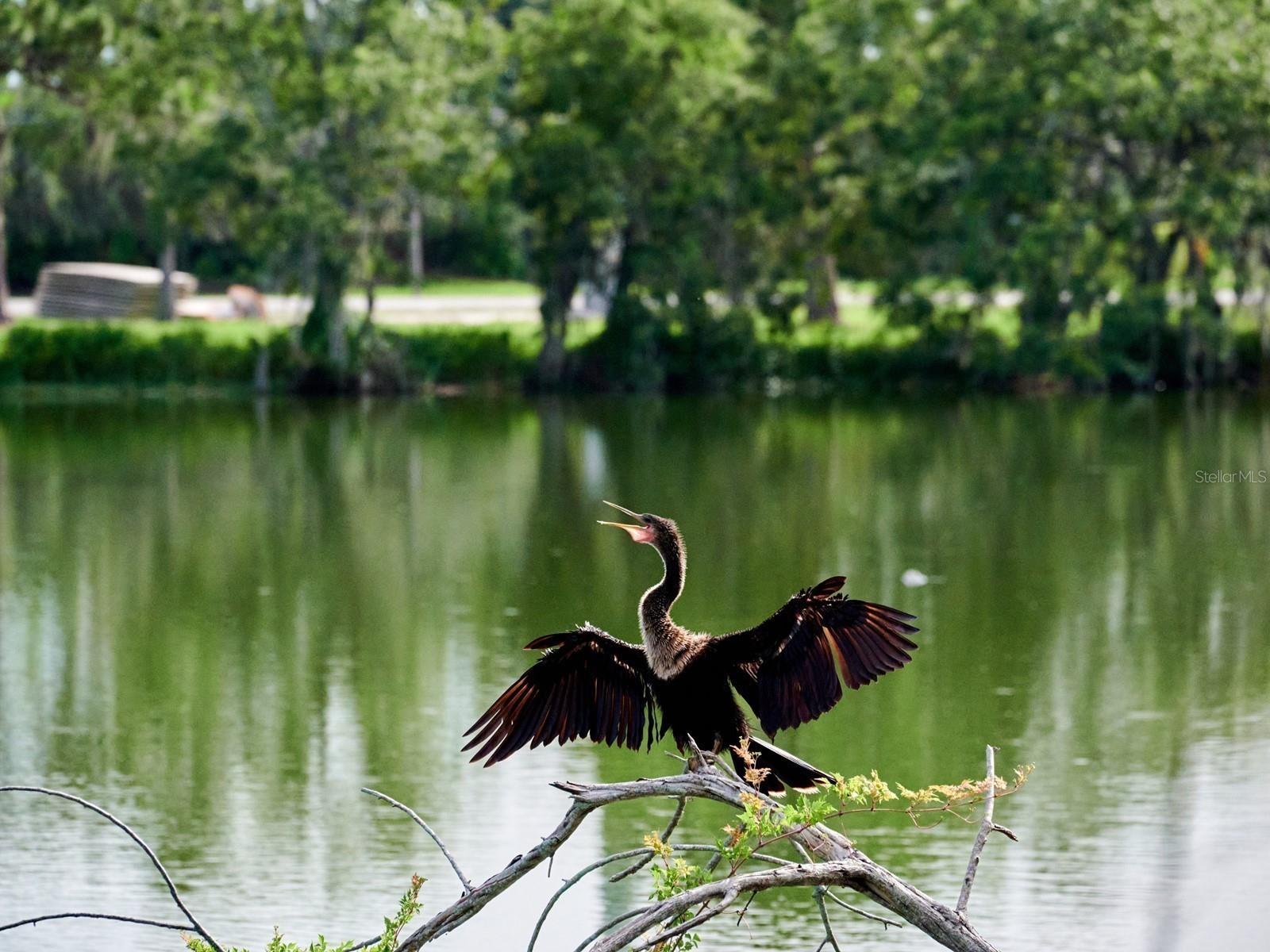 7311 PROCTOR RD, SARASOTA, FL, 34241