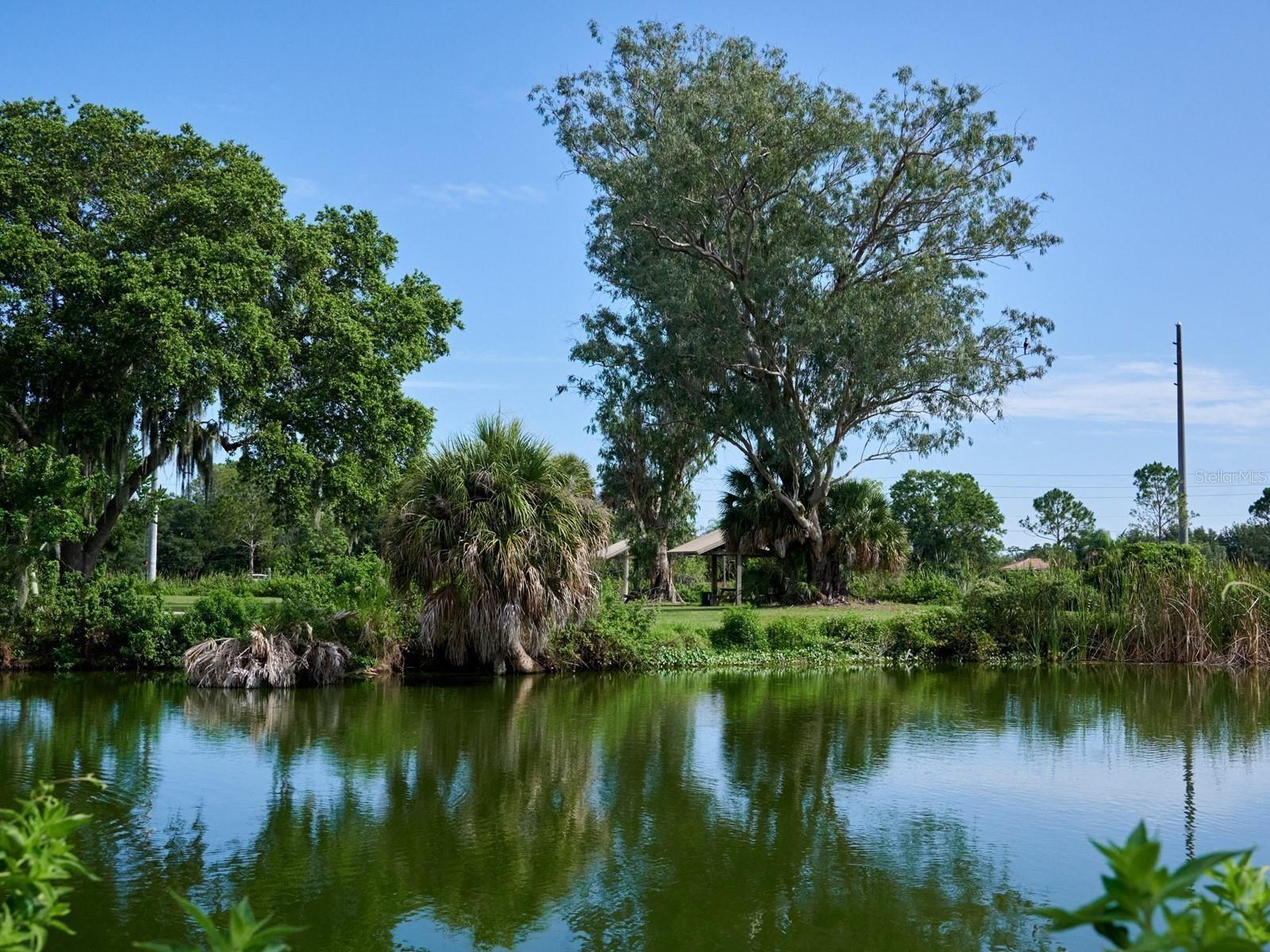 7311 PROCTOR RD, SARASOTA, FL, 34241