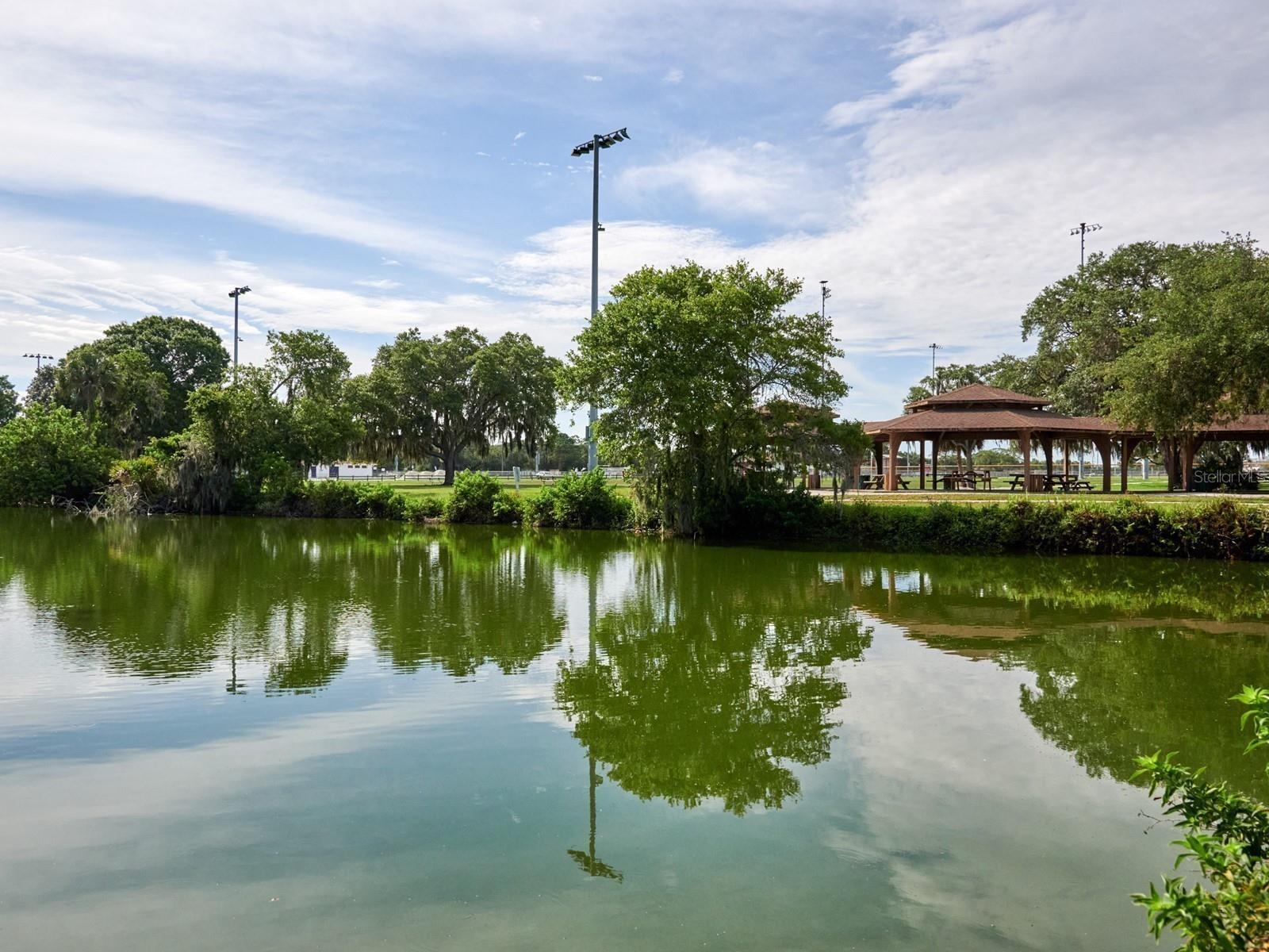 7311 PROCTOR RD, SARASOTA, FL, 34241