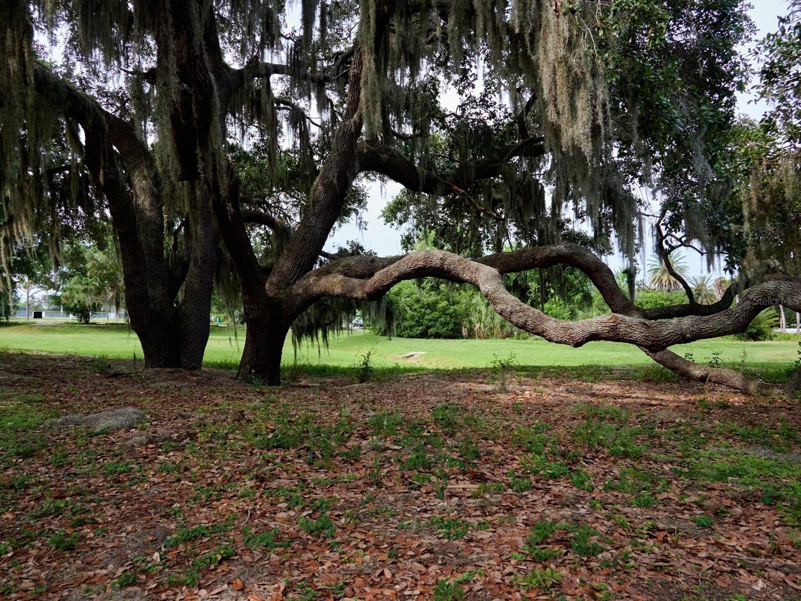 7311 PROCTOR RD, SARASOTA, FL, 34241