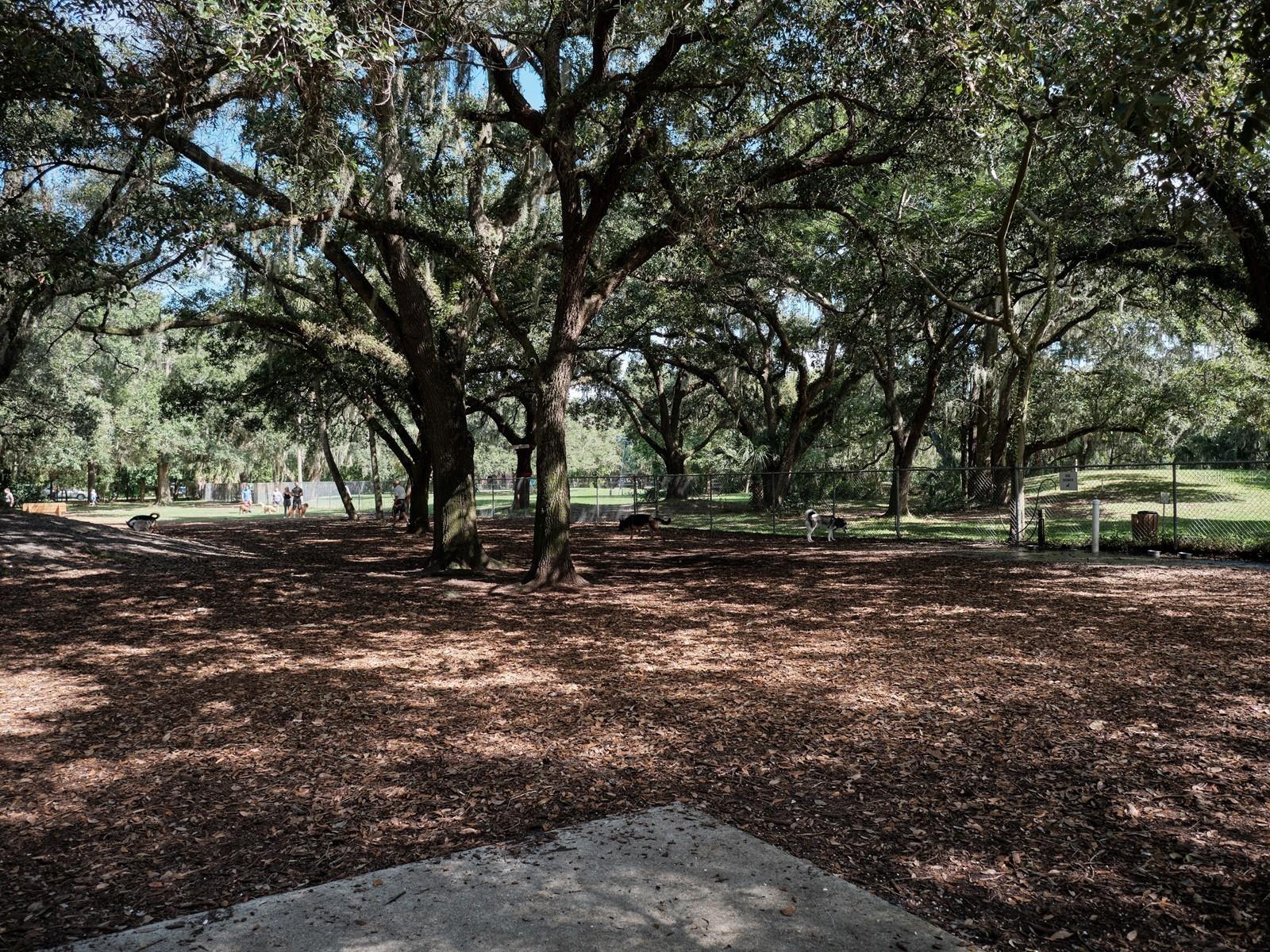 7311 PROCTOR RD, SARASOTA, FL, 34241