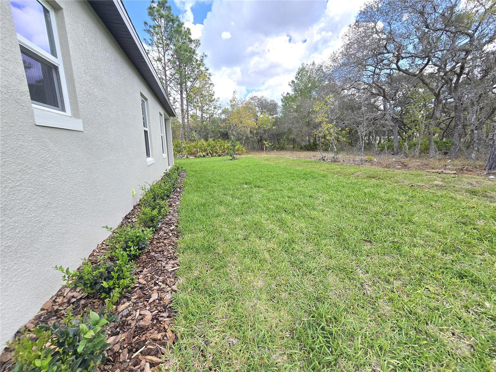 87 VINCA ST, HOMOSASSA, FL, 34446