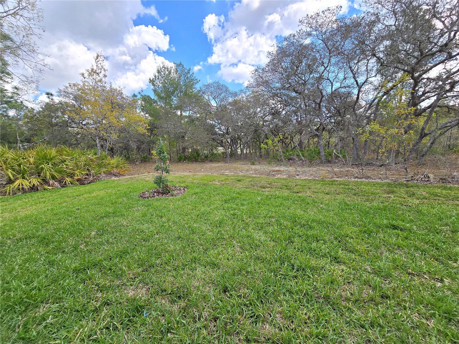 87 VINCA ST, HOMOSASSA, FL, 34446